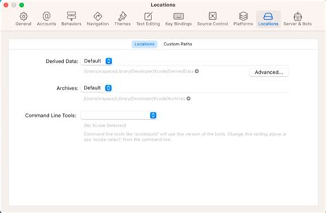 Xcode Mac OS 的图像结果