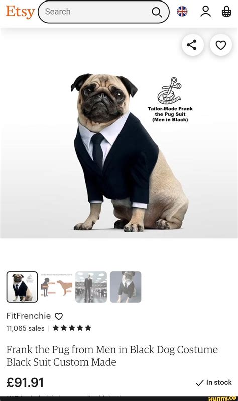Tailor-Made Frank the Pug Suit (Men in Black) FitFrenchie 11,065 sales ...