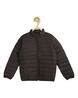 Buy Brown Jackets & Coats for Boys by ALLEN SOLLY Online | Ajio.com