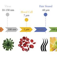 Image result for Particle Size Comparison Chart