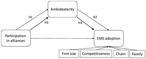 Ambidexterity, Alliances and Environmental Management System Adoption ...