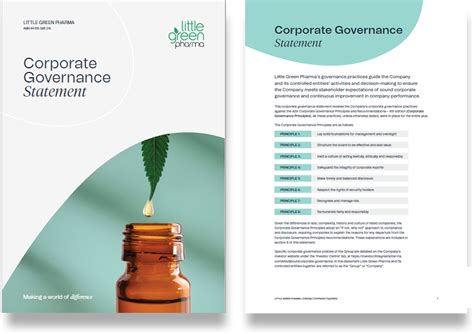 Corporate Governance Statement Example 的图像结果