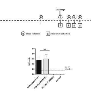 Image result for Standard Elisa Protocol