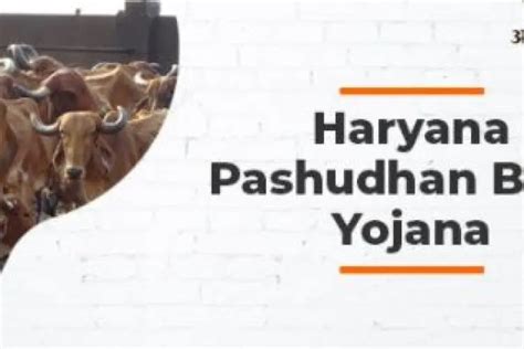 Haryana Livestock Insurance Scheme 2022 Online Application ...