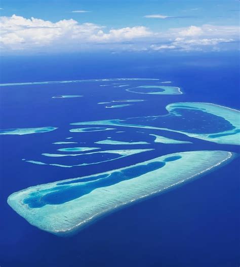 Pool View 的图像结果