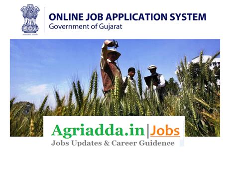 B.Sc Agriculture or Diploma Agriculture Govt Job