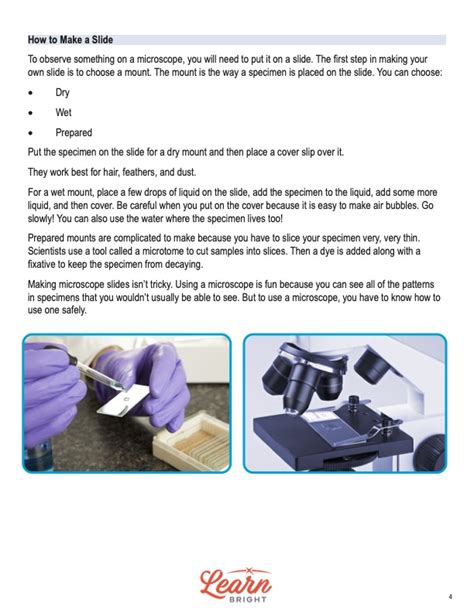 Basic Microscope Use 的图像结果