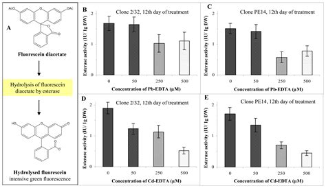 Multi-instrumental Investigation of Affecting of Early Somatic Embryos ...