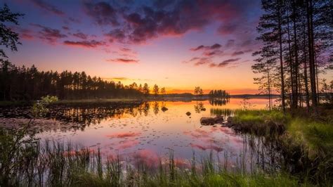 Image result for Internship Blog Example