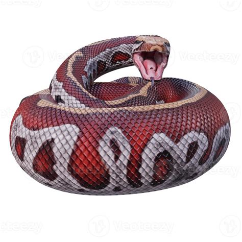 Matrix Blood Python 的图像结果