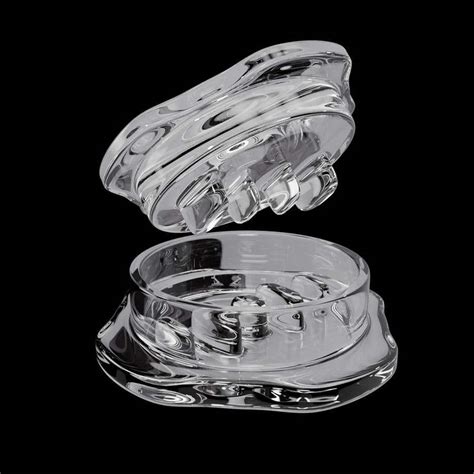 Entry #62 by Aladdin1000 for Exceptional 3D Renderings: Clear Plastic ...
