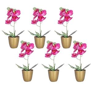 Buy Kuber Industries Artificial Plants for Home D cor|Natural Looking ...