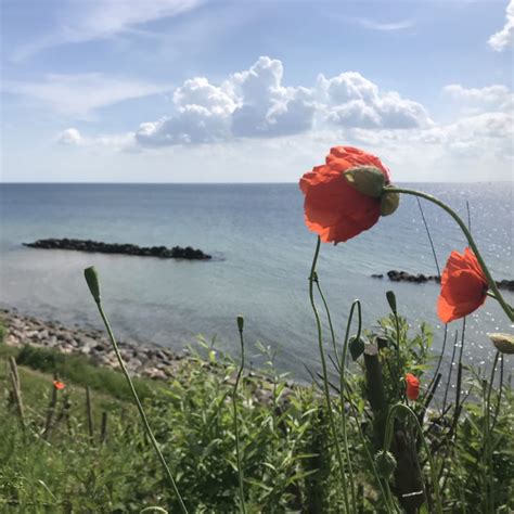 Image result for Wave Pool Diffraction