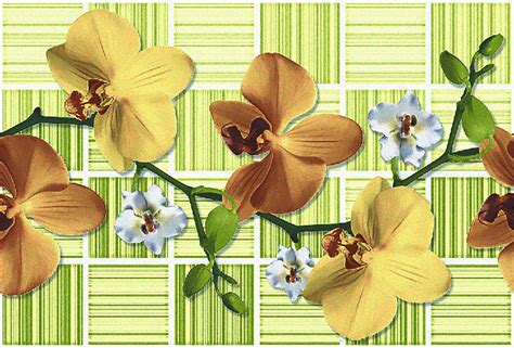 6007-DBR | 30X60 CM / 12X24 Inch