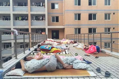 哈尔滨工业大学学生酷暑难耐，在行政楼前打地铺，学校的回应亮了_腾讯新闻