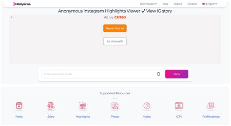 Top 6 Instagram Highlight Viewers [With Answers to Your Questions]