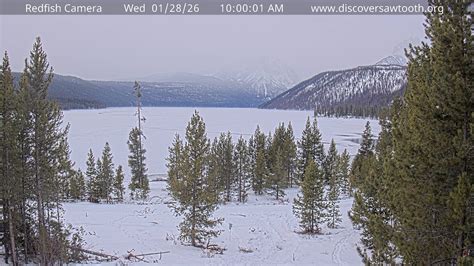 Daily Webcam Slideshow