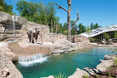 Elephant Enclosure at the Zurich Zoo - Topos Magazine