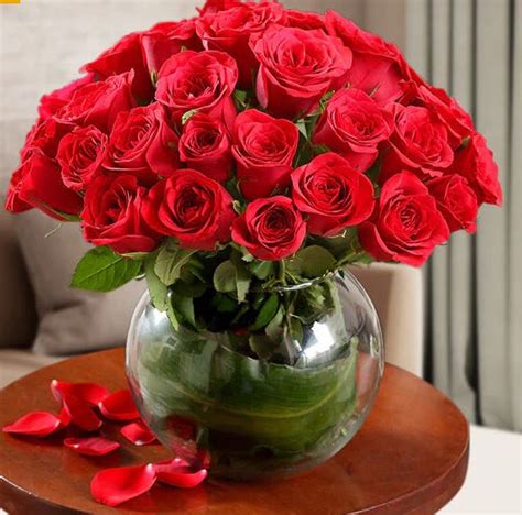 Roses – Jasmine Land