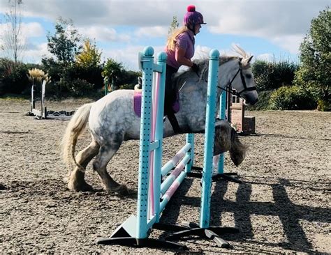 Crofton Show Jumping (indoors), Crofton Manor Equestrian Centre ...