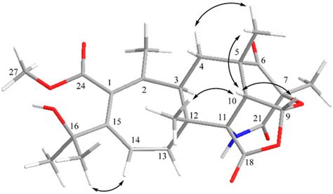 An Unusual Stress Metabolite from a Hydrothermal Vent Fungus ...