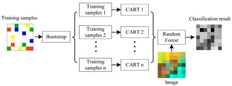 UAV Remote Sensing for Urban Vegetation Mapping Using Random Forest and ...