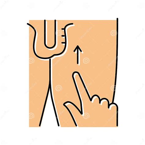 Image result for Cremasteric Muscle Contraction