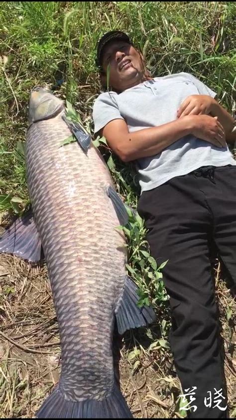 男子在湖里钓90斤巨型“鱼怪”(图)|世界十大淡水凶猛鱼_新浪新闻