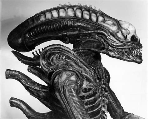 Image result for Alien SK