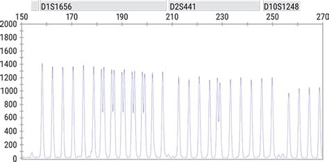 Image result for Spectrum Compact Promega