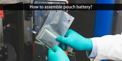 Image result for Pouch Battery Module