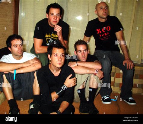 Image result for Simple Plan Addicted Live 2003