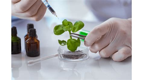 Image result for Biotechnology Process