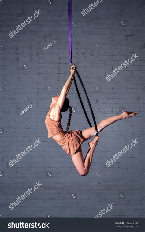 Image result for Aerial Hoop Drawing