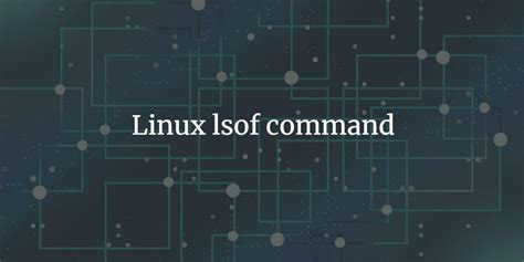 Image result for Tortoise Algorithm