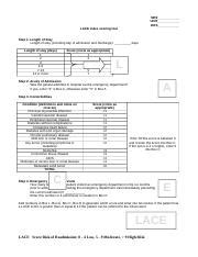 Image result for Lace Problem Resolution