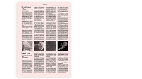 Image result for Multiple Column