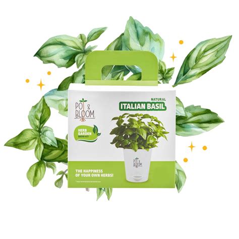 Pot and Bloom Italian Basil Plant Gardening Kit| Plant Kit for Home l ...