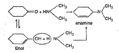 Reaction of cyclohexanone with dimethylamine in the presence of ...