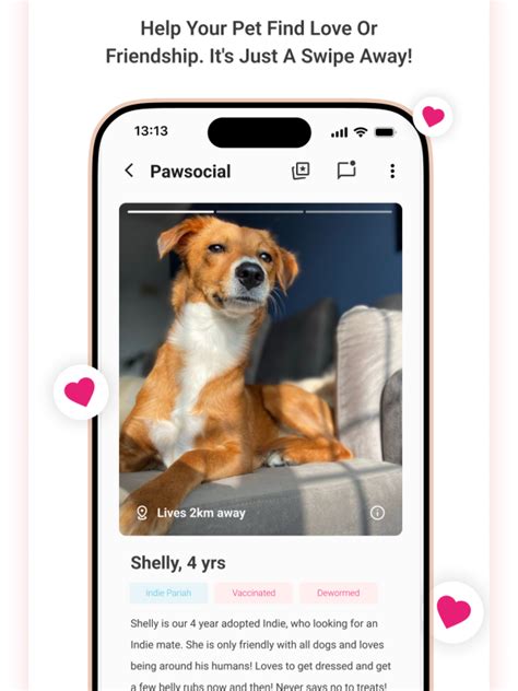 Tale of Tails | Pet Care Assistant