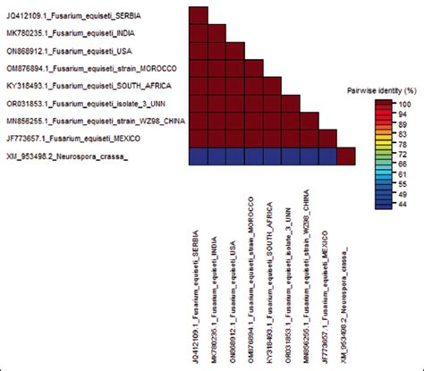 Agronomic and disease responses of three watermelon (citrilus lanatus l ...