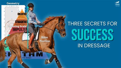 Image result for USDF 1st Level Test 3