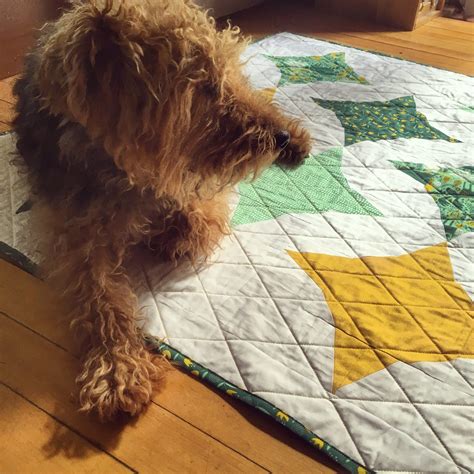 Dogs on Patchwork & Poodles Quilts! - Patchwork and Poodles