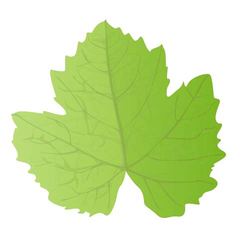 Image result for Un Sample Script