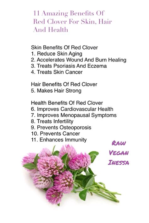 Red Clover For Hair Growth at Dominic Chumleigh blog