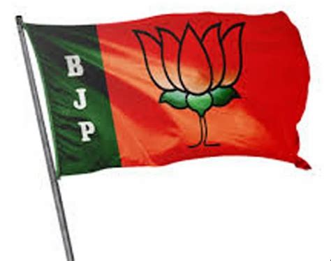 deviantART Political Party Flag 的图像结果