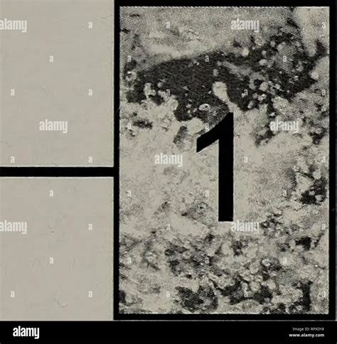 . Alewife Reservation & Alewife Brook master plan. Wetlands; Wetland ...