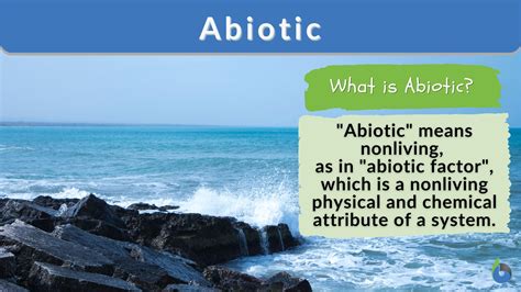 Abiotic Definition and Examples - Biology Online Dictionary
