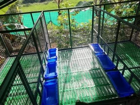 Feeding Tray - Goat Feeding Tray Trader - Retailer from Ernakulam