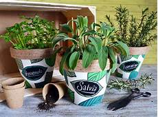 viridea vasi vasetti per erbe aromatiche viridea viridea vasi vasetti per erbe aromatiche viridea